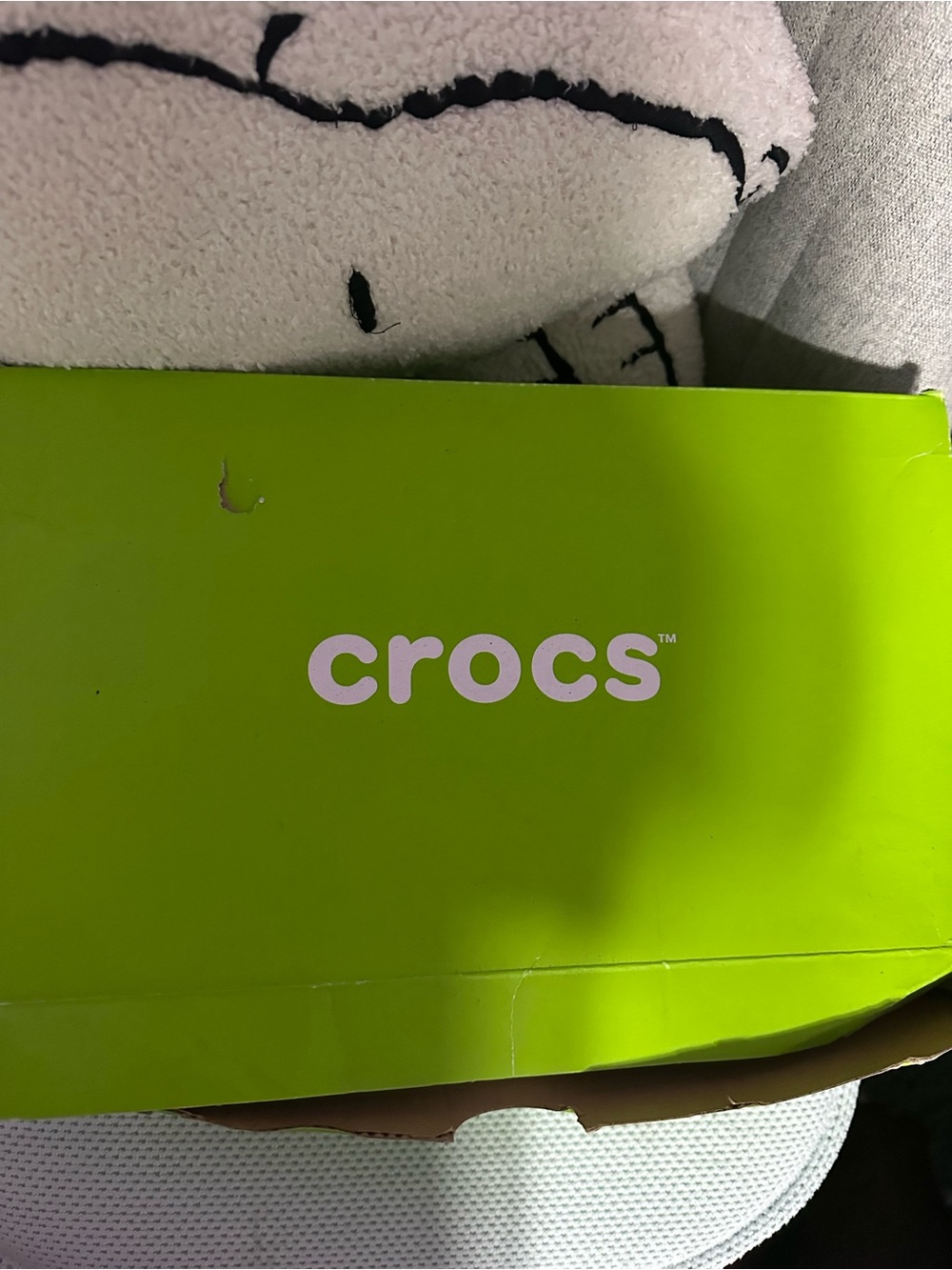 CLOSET CLOSING SZA CROCS